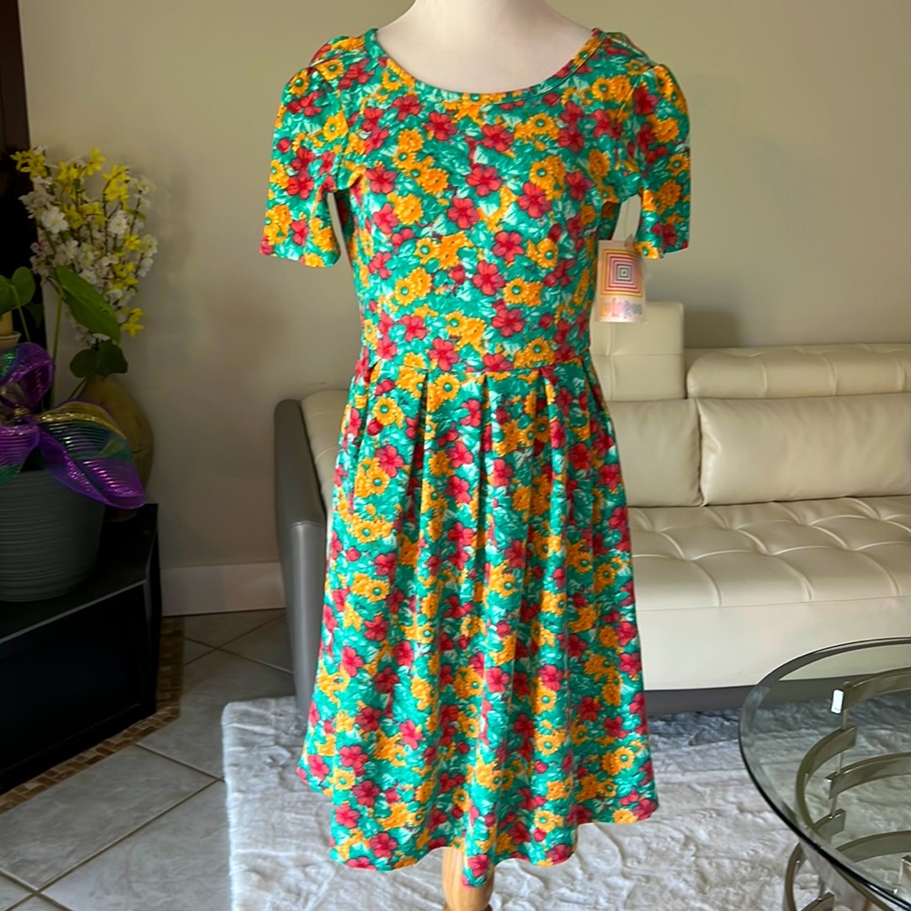 LuLaRoe Amelia spring floral dress.